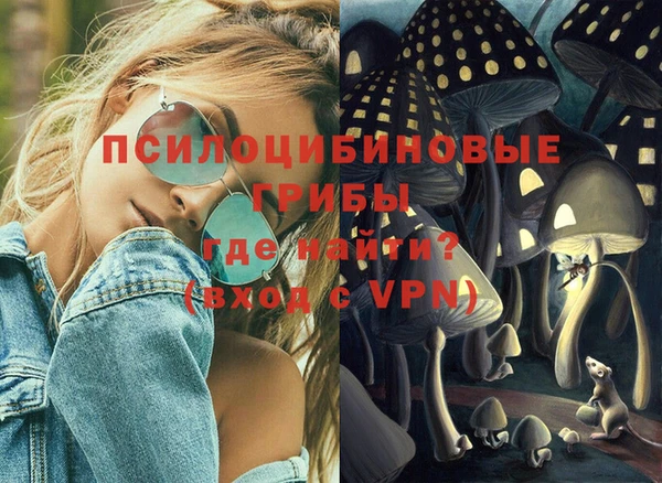 не бодяженный Аркадак