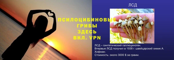 дмт Арсеньев
