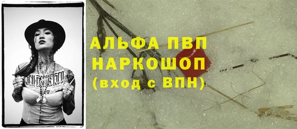 крисы Армянск