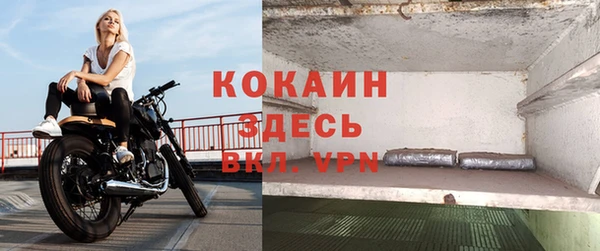 крисы Армянск